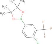 4-Chloro-3-Trifluoromethylphenylboronic Acid Pinacol Ester