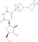 5-O-Carboranyl-1-(2-Deoxy-2-Fluoro-β-D-Arabinofuranosyl)Uracil