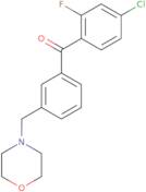 (4-Chloro-2-fluorophenyl)[3-(4-morpholinylmethyl)phenyl]methanone