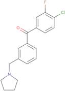 (4-Chloro-3-fluorophenyl)[3-(1-pyrrolidinylmethyl)phenyl]methanone