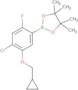 4-Chloro-5-(cyclopropylMethoxy)-2-fluorophenylboronic acid,