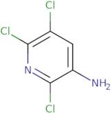 2,5,6-Trichloropyridin-3-amine