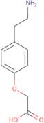 2-[4-(2-Aminoethyl)phenoxy]acetic acid