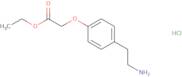 Ethyl 2-[4-(2-aminoethyl)phenoxy]acetate hydrochloride