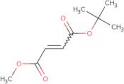 1-tert-Butyl 4-methyl (2Z)-but-2-enedioate