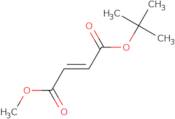 t-Butyl methyl fumarate