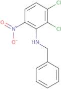 N-Benzyl-2,3-dichloro-6-nitroaniline