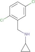 Cyclopropyl-(2,5-dichloro-benzyl)-amine