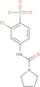 2-Chloro-4-(pyrrolidine-1-carboxamido)benzene-1-sulfonyl chloride