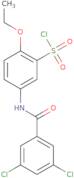 5-(3,5-Dichlorobenzoylamino)-2-ethoxy-benzenesulfonyl chloride