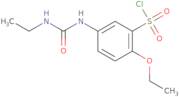 2-Ethoxy-5-(3-ethyl-ureido)-benzenesulfonyl chloride