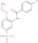 3-(4-Chlorobenzoylamino)-4-ethoxybenzenesulfonylchloride