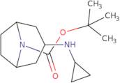 tert-Butyl 3-(cyclopropylamino)-8-azabicyclo[3.2.1]octane-8-carboxylate