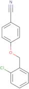 (5-Chloro-2,3-dimethoxypyridin-4-yl)methanol