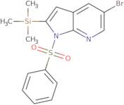 5-Bromo-1-(phenylsulfonyl)-2-(trimethylsilyl)-1H-pyrrolo[2,3-b]pyridine