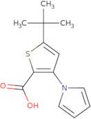 5-tert-Butyl-3-(1H-pyrrol-1-yl)thiophene-2-carboxylic acid