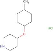 4-[(4-Methylcyclohexyl)oxy]piperidine hydrochloride