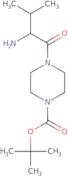 tert-Butyl 4-[(2S)-2-amino-3-methylbutanoyl]piperazine-1-carboxylate