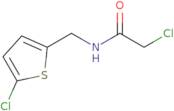 2-Chloro-N-[(5-chlorothiophen-2-yl)methyl]acetamide