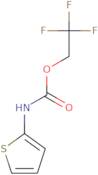 2,2,2-Trifluoroethyl N-(thiophen-2-yl)carbamate