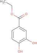 3,4-Dihydroxybenzoic acid ethyl ester