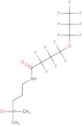 1-{[3-(Dimethylamino)propyl](oxido)-λ5