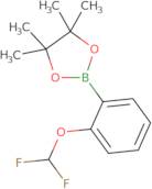2-Difluoromethoxyphenylboronic acid pinacol ester
