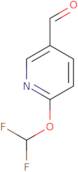 6-(difluoromethoxy)pyridine-3-carbaldehyde