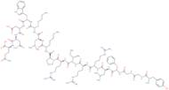 Dynorphin A trifluoroacetate salt
