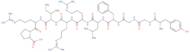 Dynorphin A (1-10) acetate salt