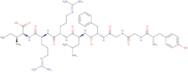Dynorphin A (1-8) acetate salt