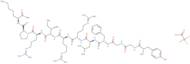 Dynorphin A (1-11) amide trifluoroacetate salt