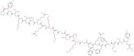 (Des-Glu5)-ACTH (1-24) (human, bovine, rat) trifluoroacetate salt