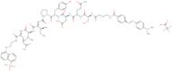 DABCYL-gamma-Abu-Ser-Gln-Asn-Tyr-Pro-Ile-Val-Gln-EDANS trifluoroacetate salt