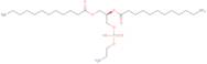 1,2-Dilauroyl-sn-glycero-3-phosphoethanolamine