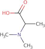 2-(Dimethylamino)propanoic acid