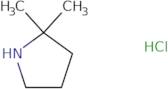 2,2-Dimethylpyrrolidine hydrochloride