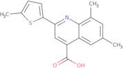 6,8-Dimethyl-2-(5-methylthien-2-yl)quinoline-4-carboxylic acid