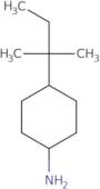 4-(1,1-Dimethylpropyl)cyclohexanamine
