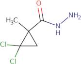 2,2-Dichloro-1-methylcyclopropanecarbohydrazide