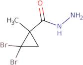 2,2-Dibromo-1-methylcyclopropanecarbohydrazide