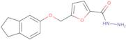 5-[(2,3-Dihydro-1H-inden-5-yloxy)methyl]-2-furohydrazide