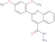 2-(2,4-Dimethoxyphenyl)quinoline-4-carbohydrazide