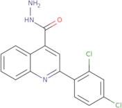 2-(2,4-Dichlorophenyl)quinoline-4-carbohydrazide