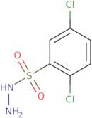 2,5-Dichlorobenzenesulfonohydrazide