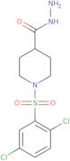 1-[(2,5-Dichlorophenyl)sulfonyl]piperidine-4-carbohydrazide