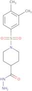 1-[(3,4-Dimethylphenyl)sulfonyl]piperidine-4-carbohydrazide