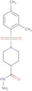 1-[(2,4-Dimethylphenyl)sulfonyl]piperidine-4-carbohydrazide