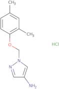 1-[(2,4-Dimethylphenoxy)methyl]-1H-pyrazol-4-amine hydrochloride