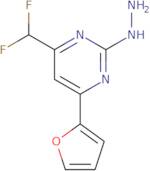 4-(Difluoromethyl)-6-(2-furyl)-2-hydrazinopyrimidine